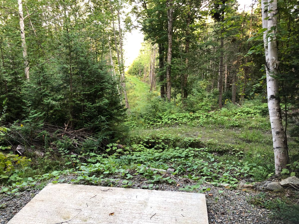 12 Tee Pad