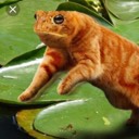 User avatar image