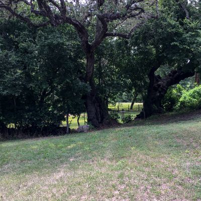 Hole 2