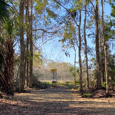 Hole 9 basket.