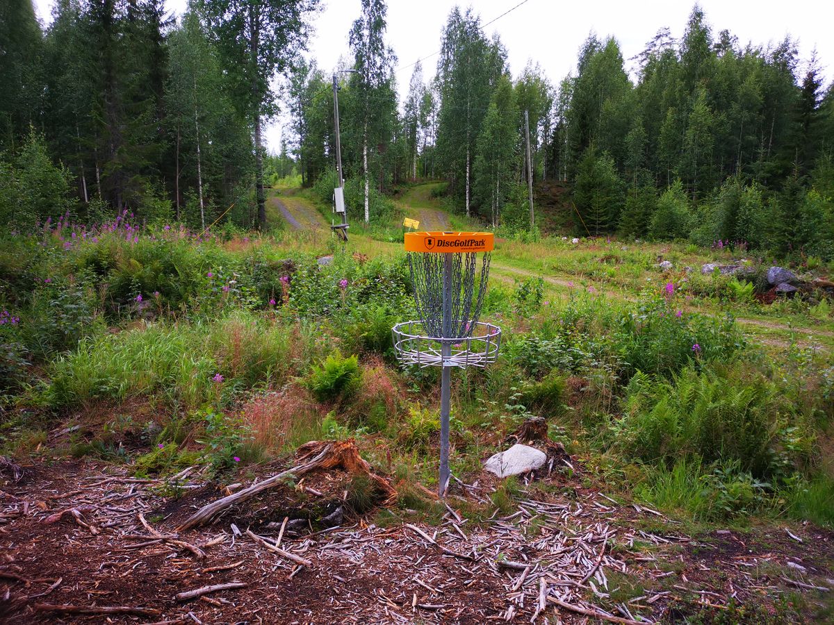 Kori väylällä #8