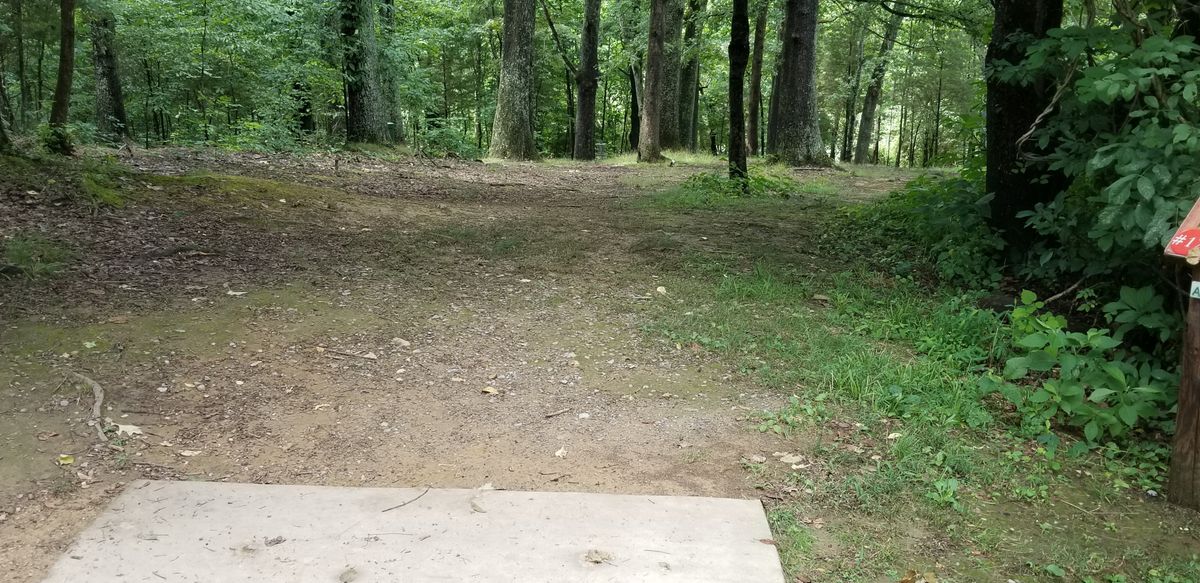 #17 view of short position basket