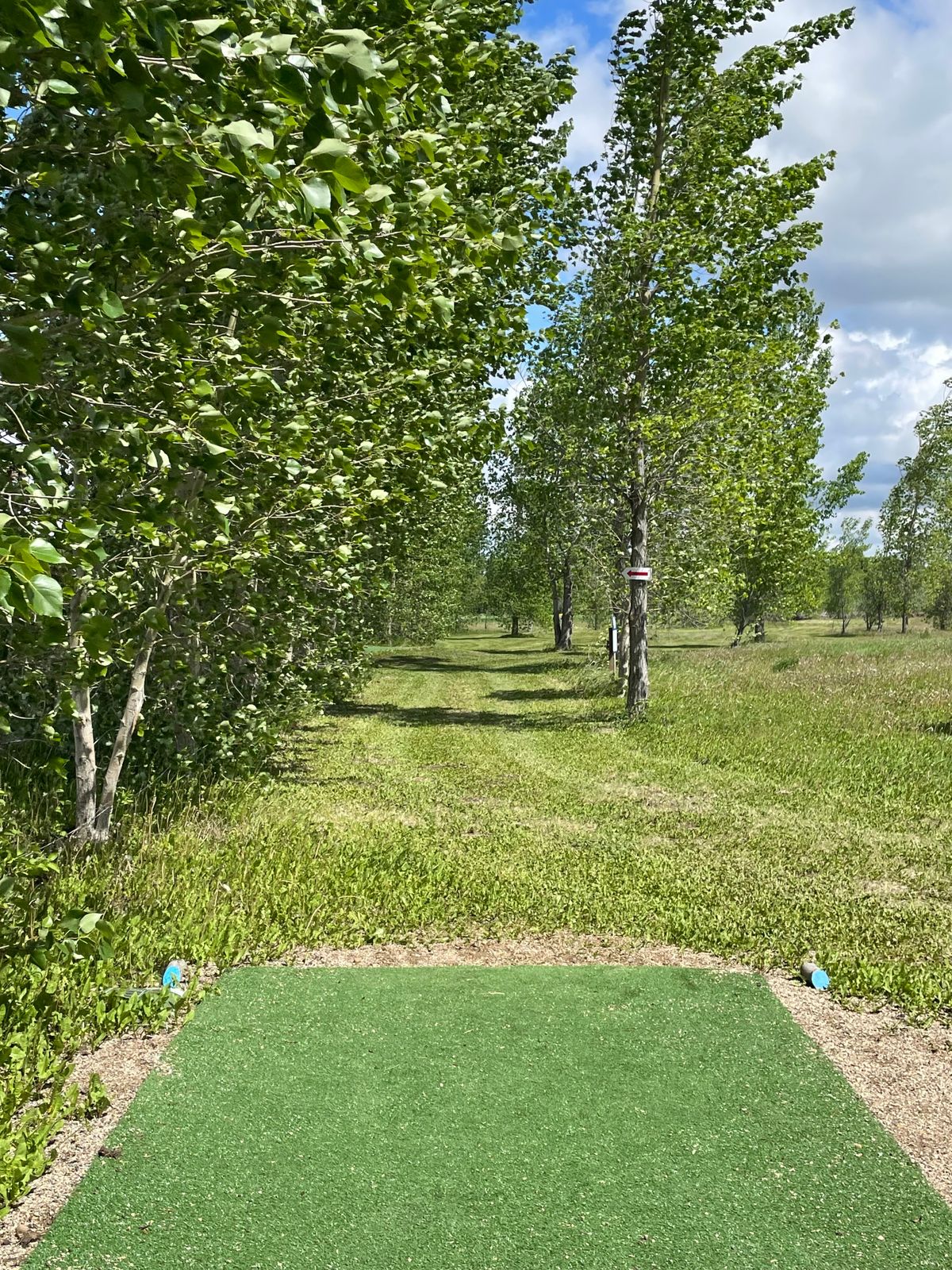 Tunnel Tee Shot