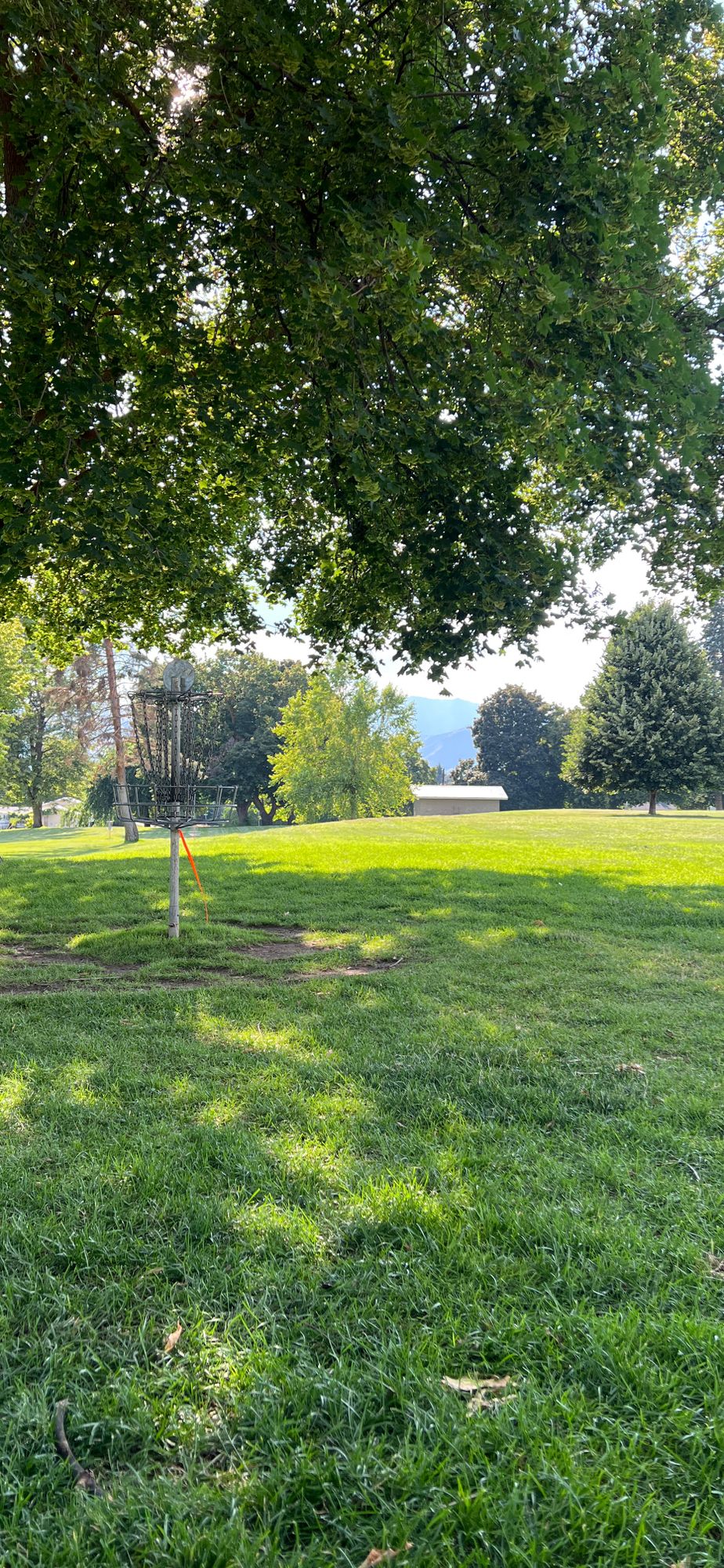 Tedford Park
