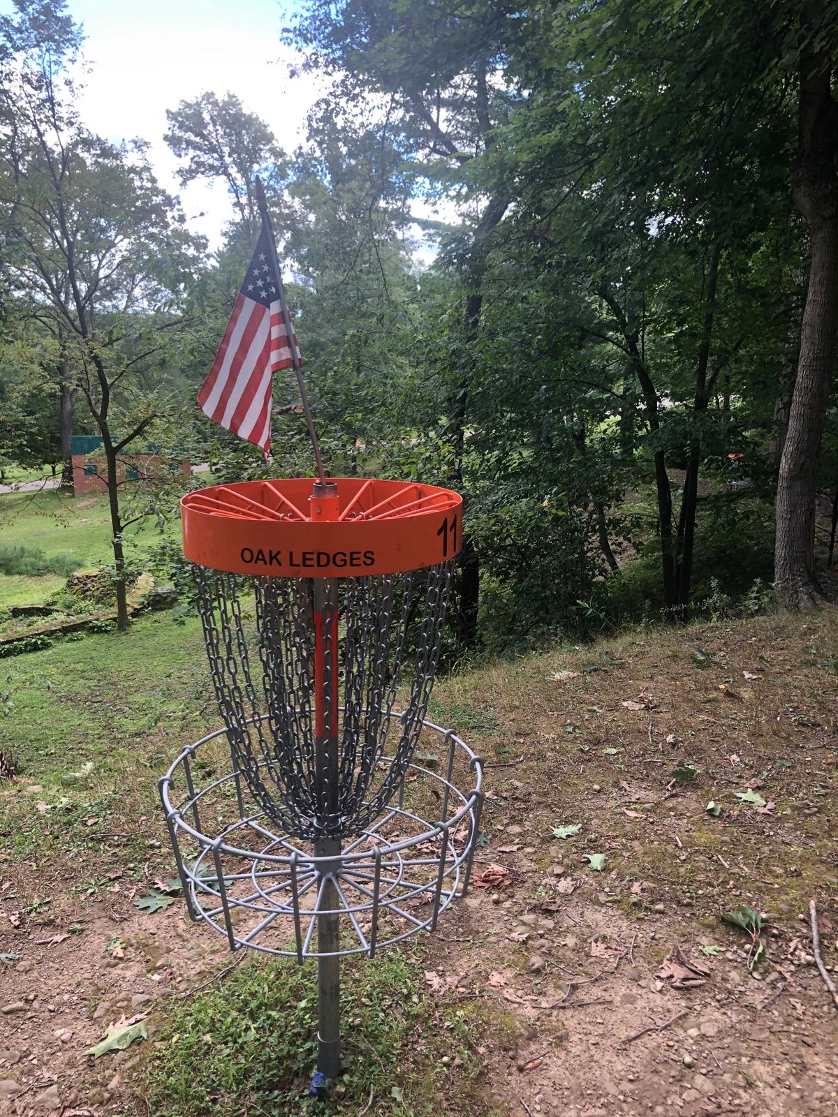 Hole 11 Basket