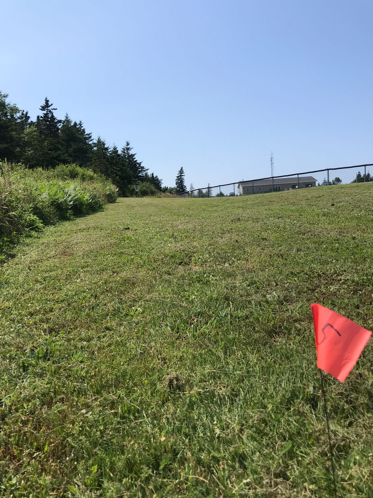Hole 5