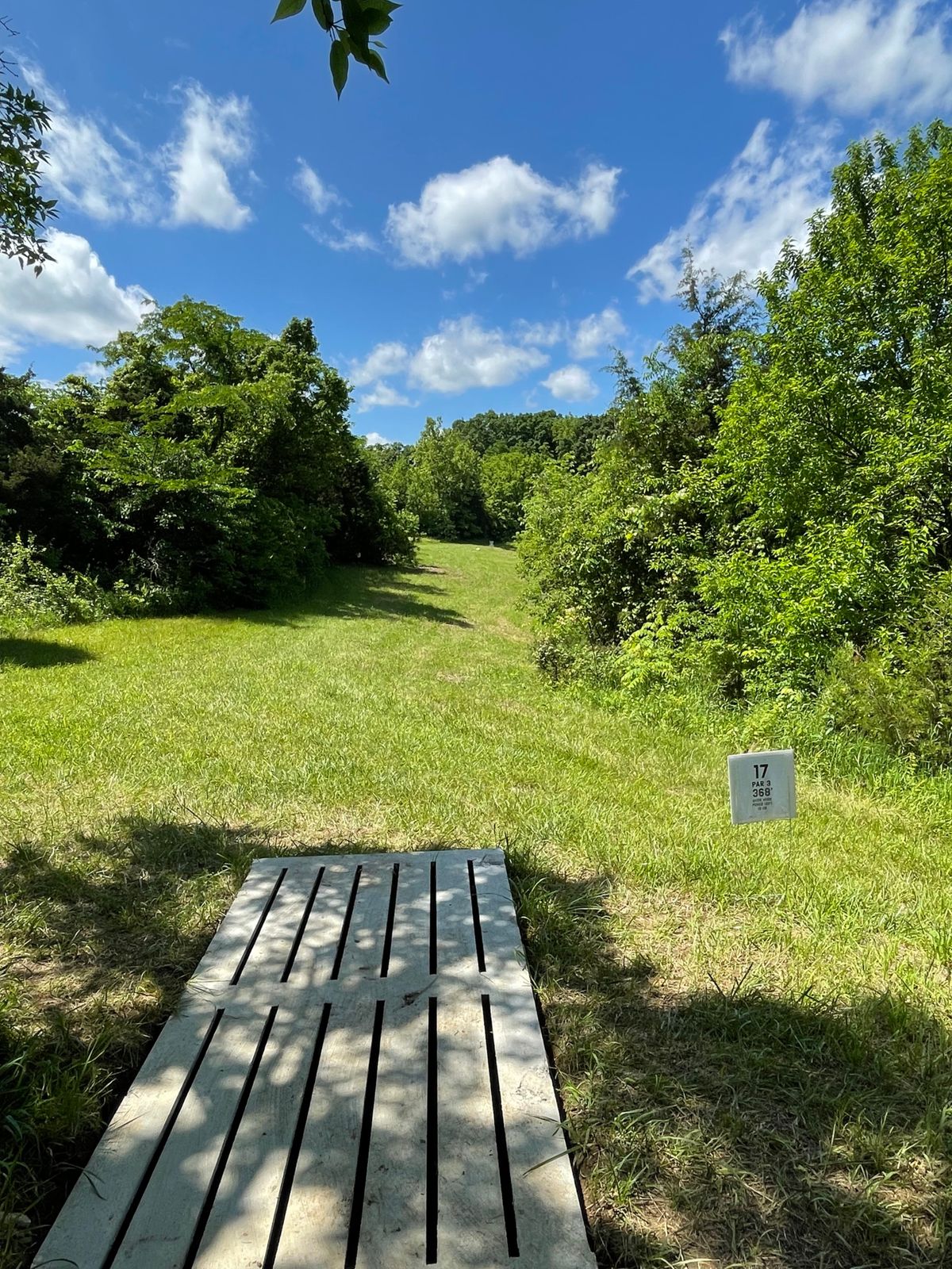 Hole 17
