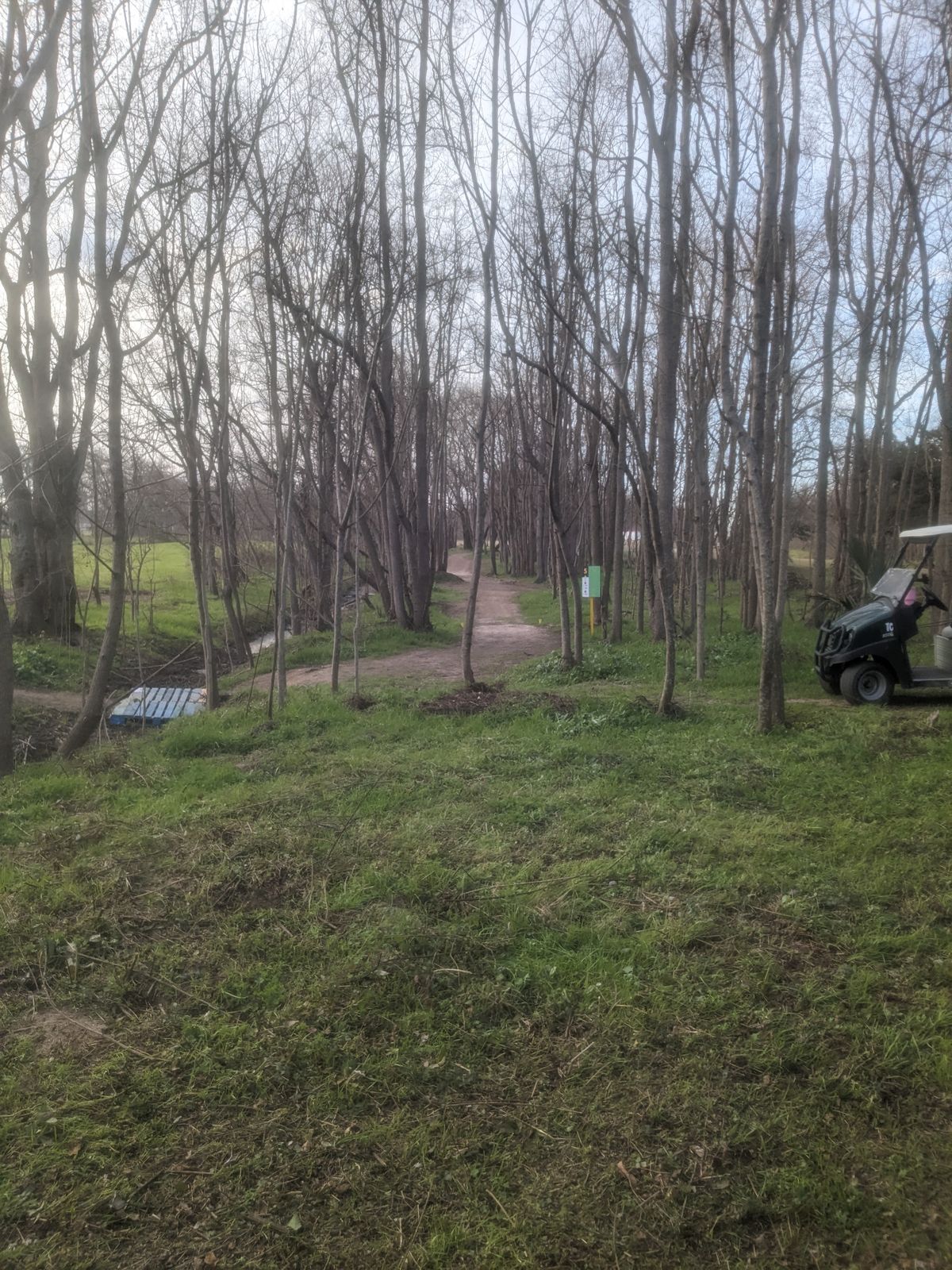 Hole 5 view from new gold pad location