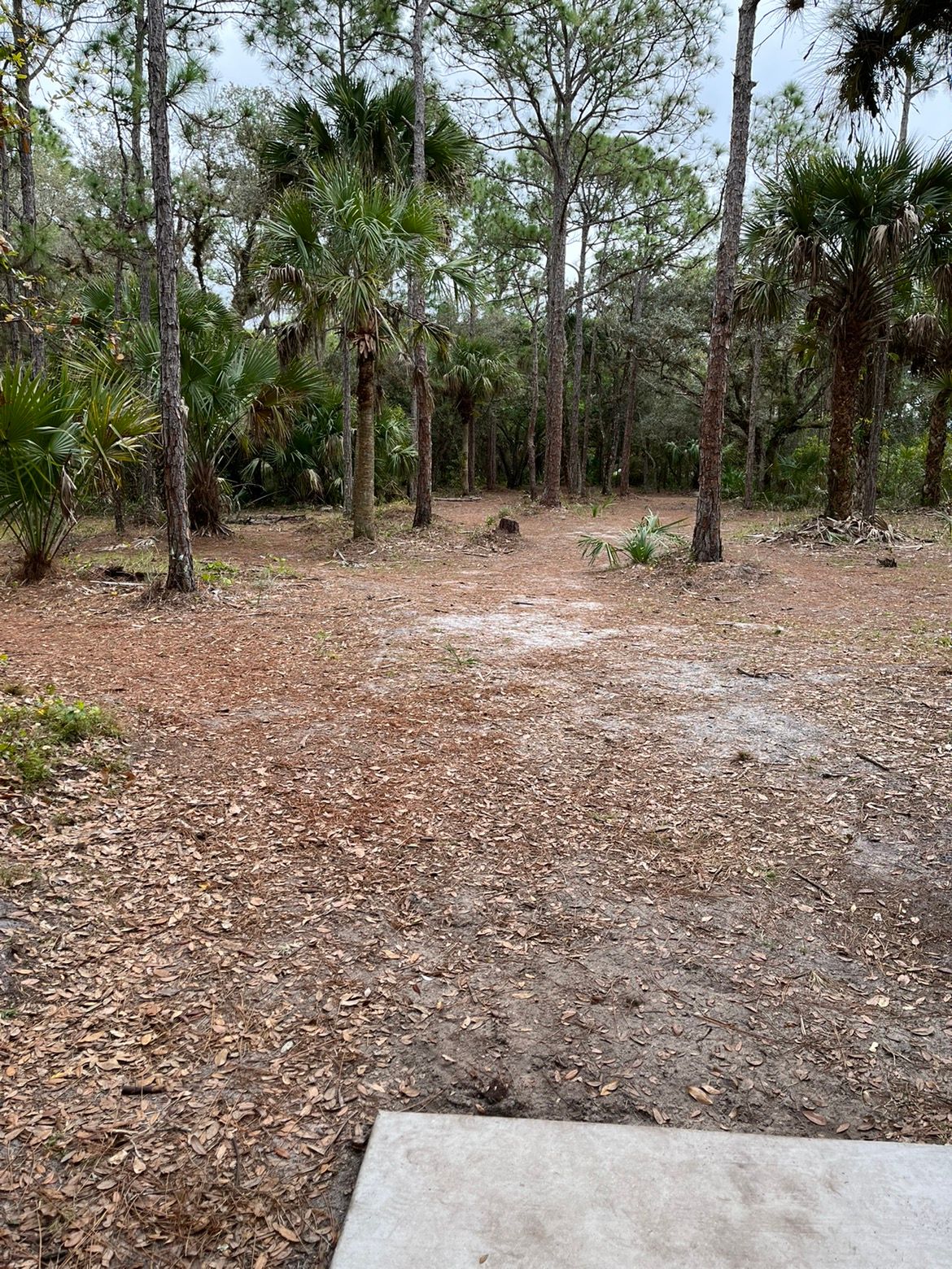 Hole 17