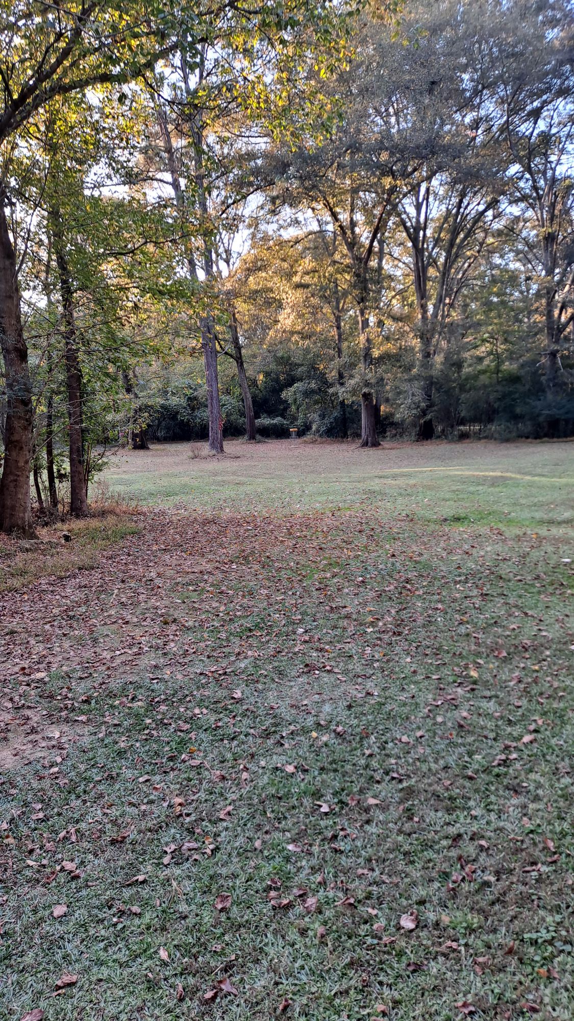 #15 approach