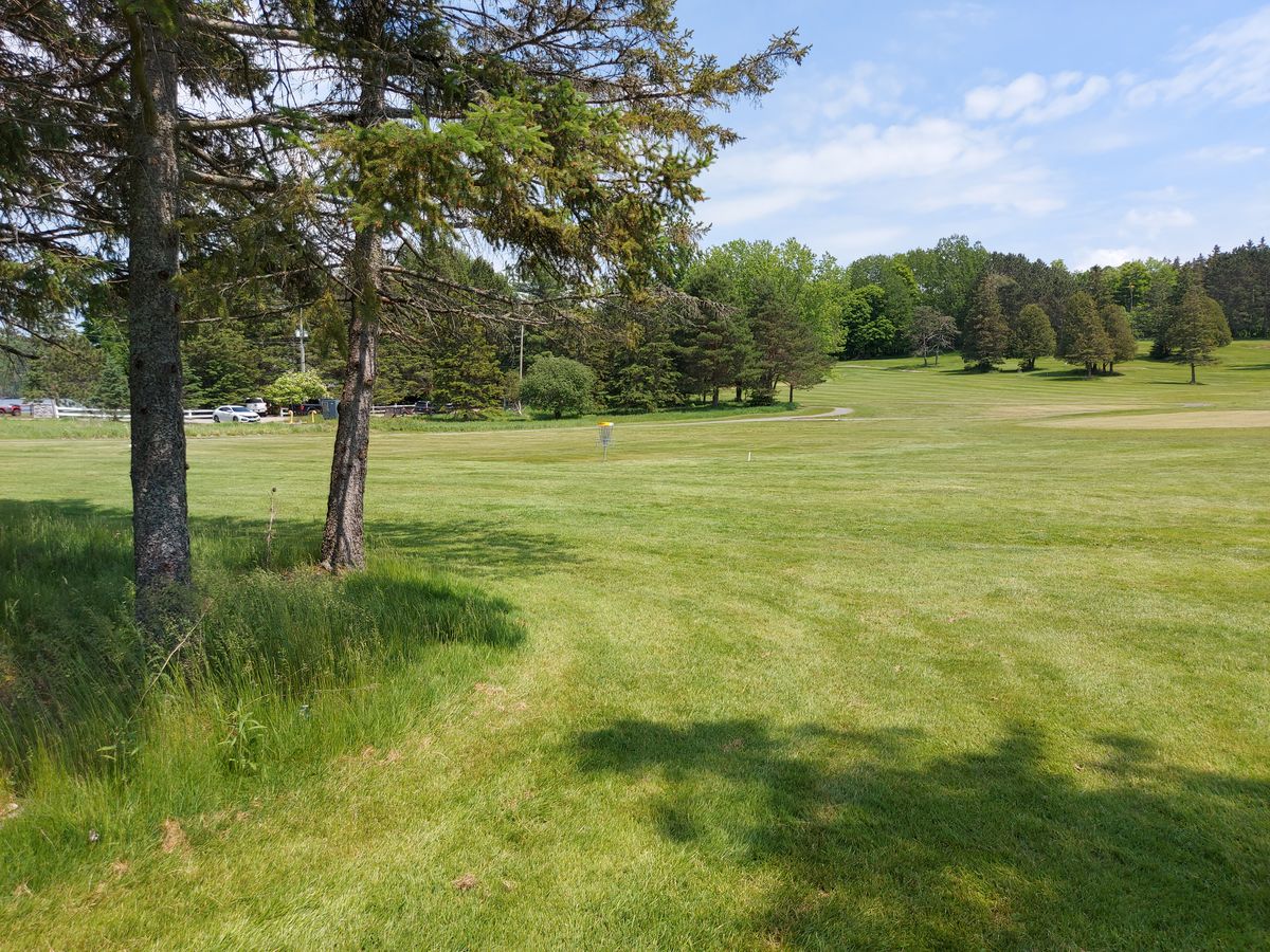 Short upshot on hole 3. 🌲🌲🌲🌲