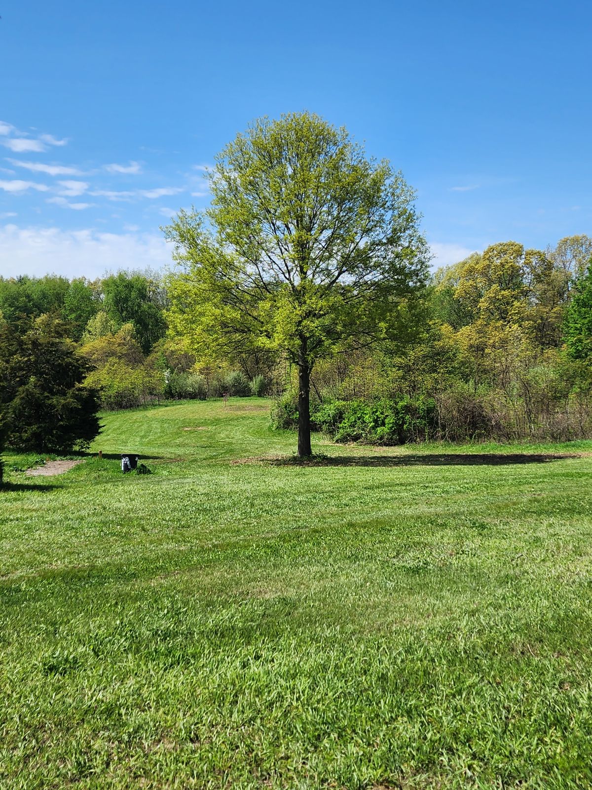Hole 5 short's