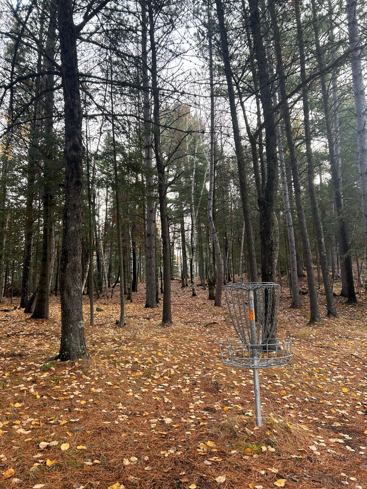 Hole 5 looking back towards teepad
