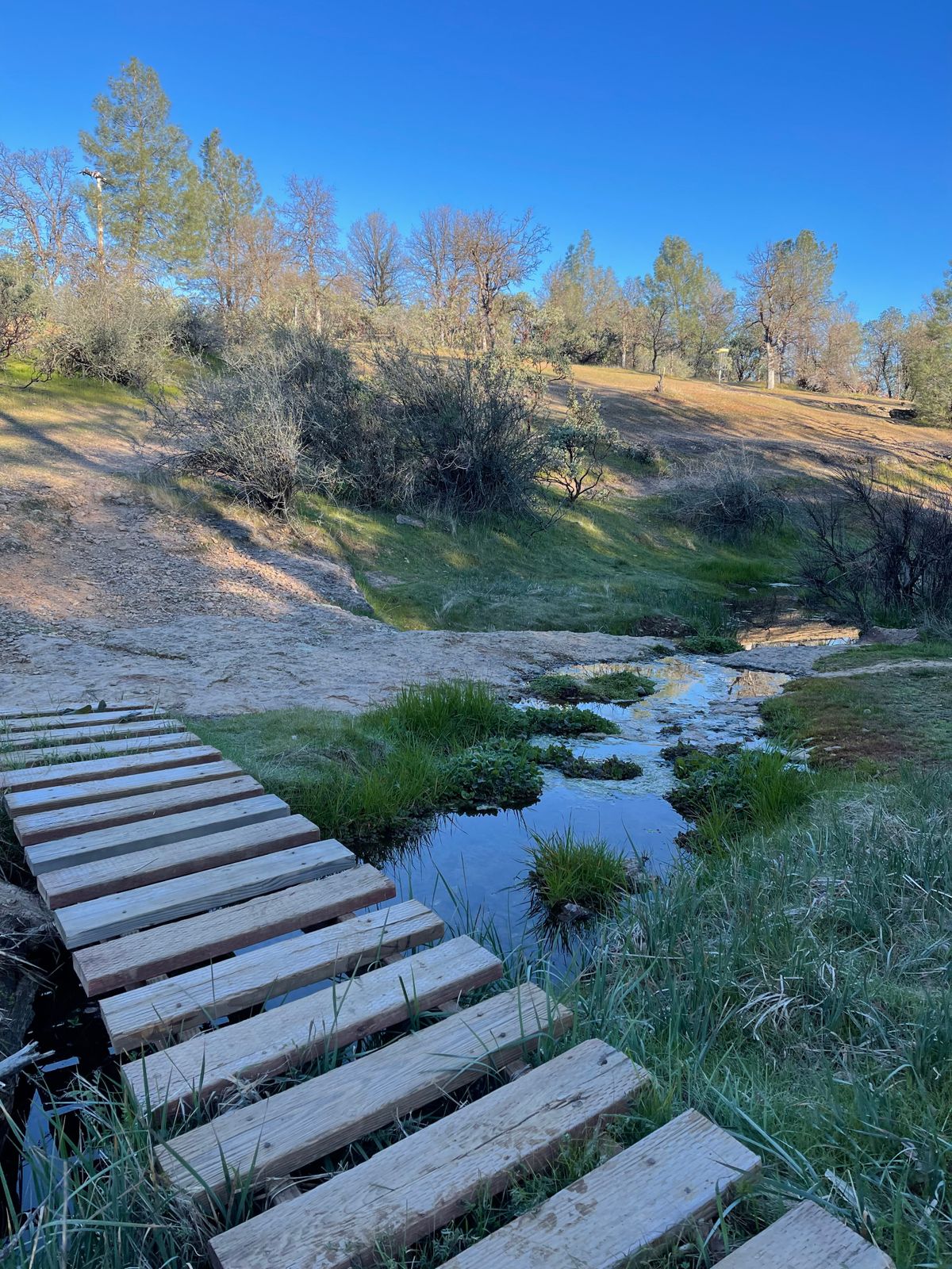 Hole 10 view from the creek