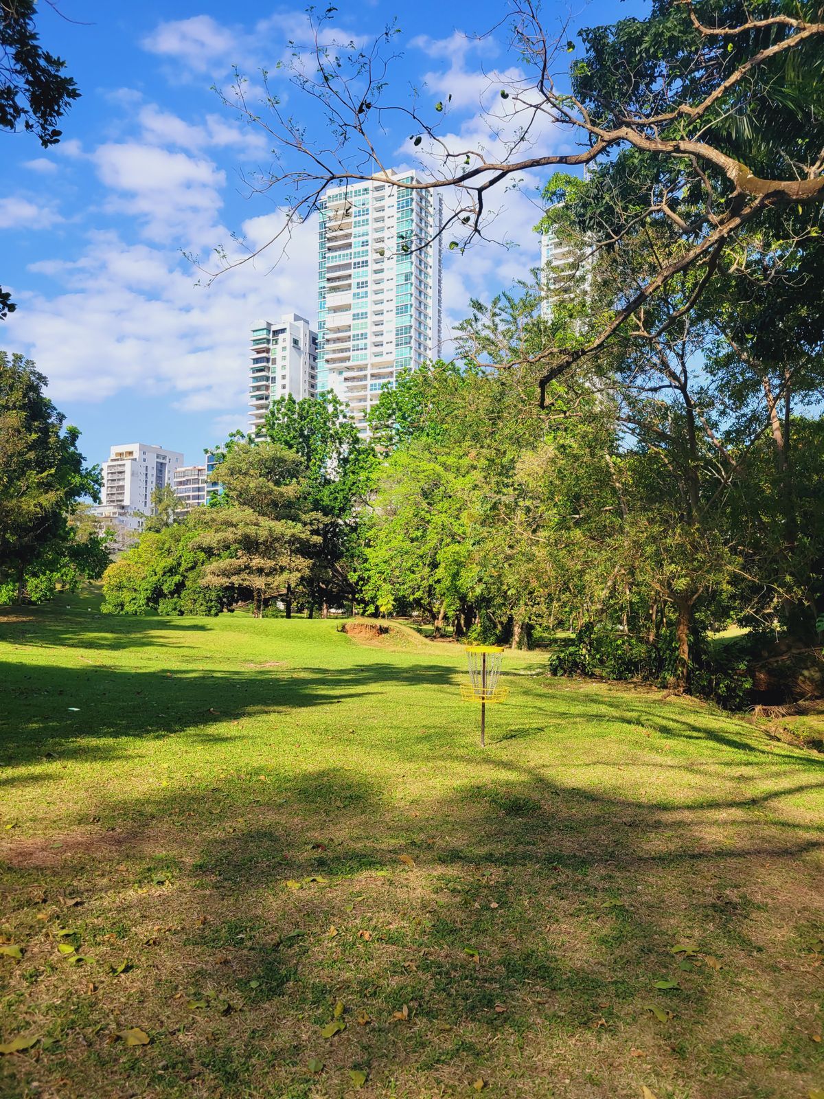 Parque Omar DG Course
Hole 10 Target
