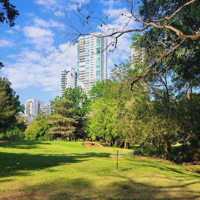Parque Omar DG Course
Hole 10 Target