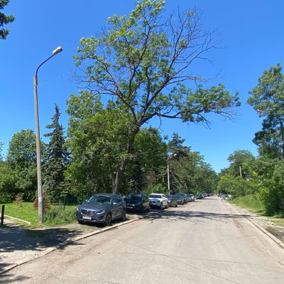 Parking near Zapaden Restaurant. A short walk to the basket.