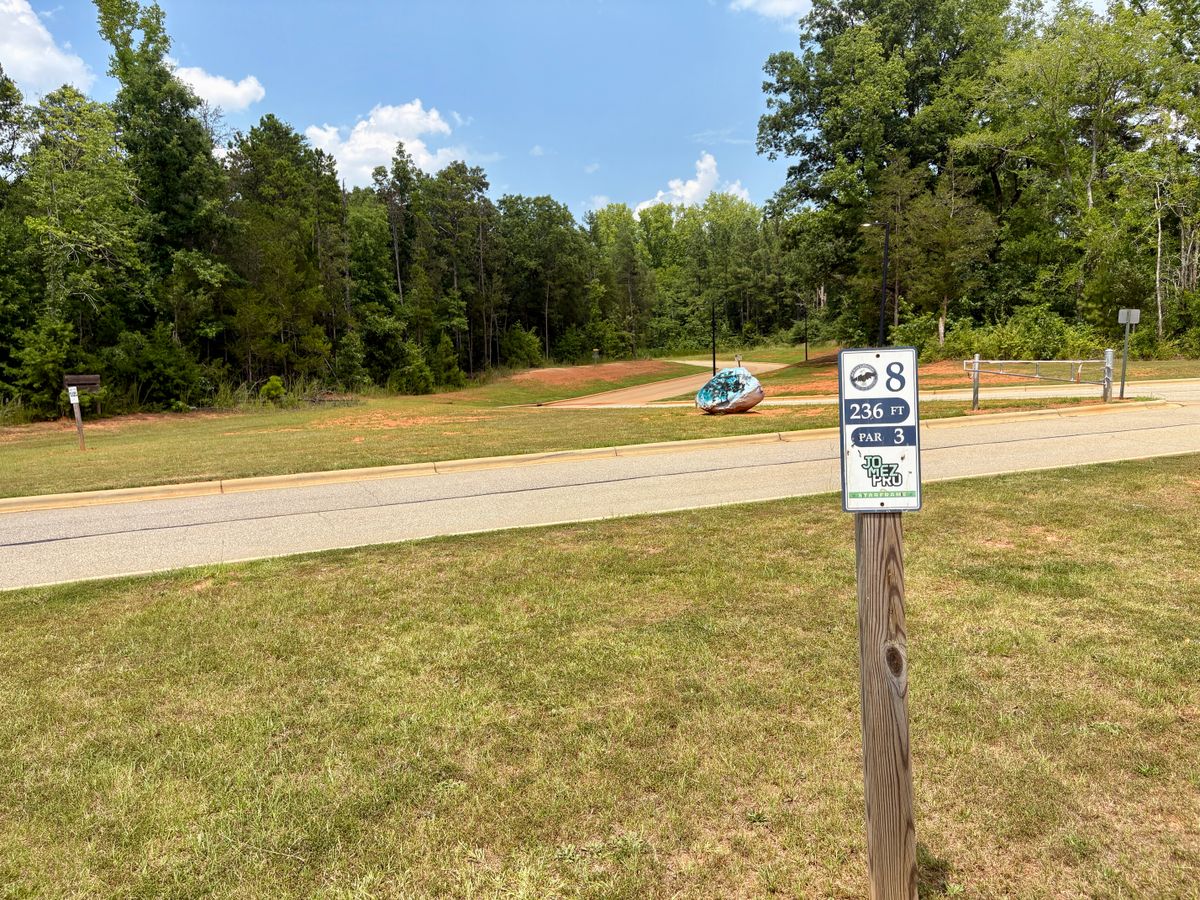 Hole 8 tee