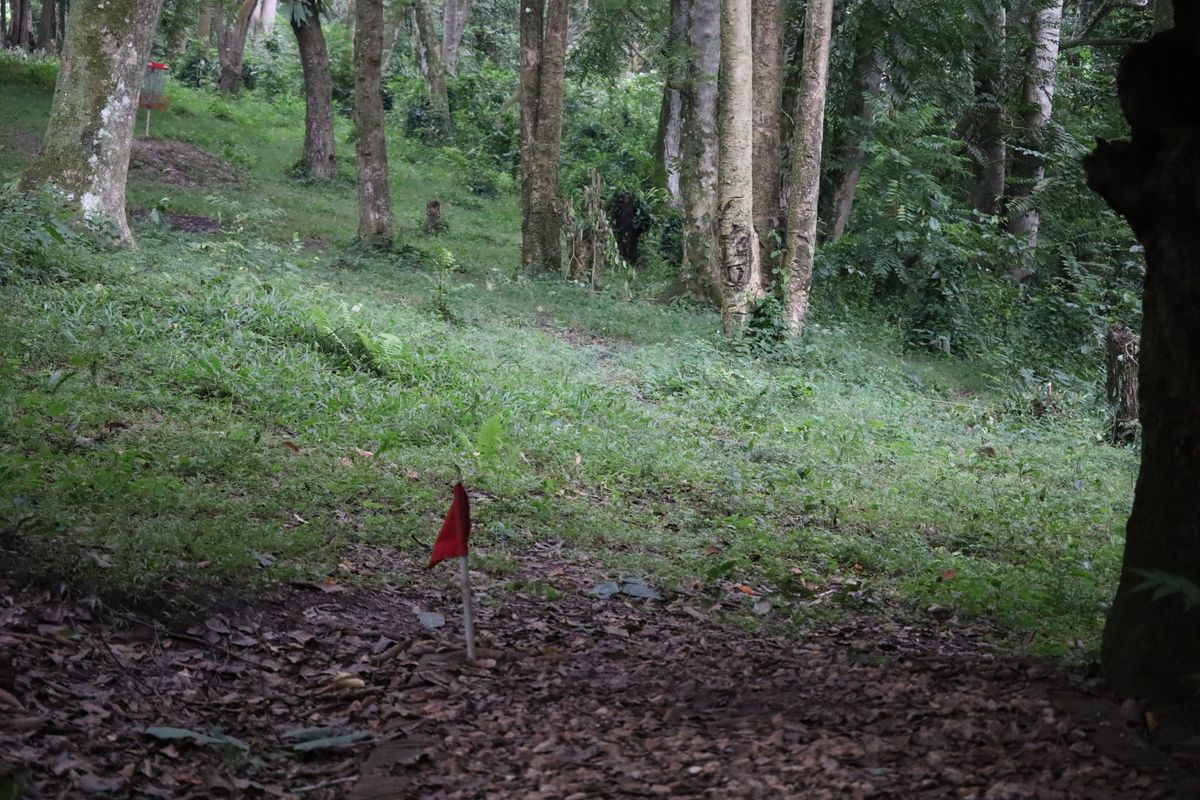 Hole 12 Short Tee