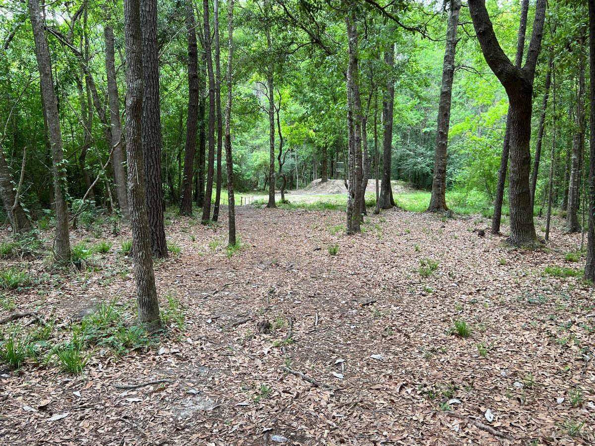 Hole 11 Red