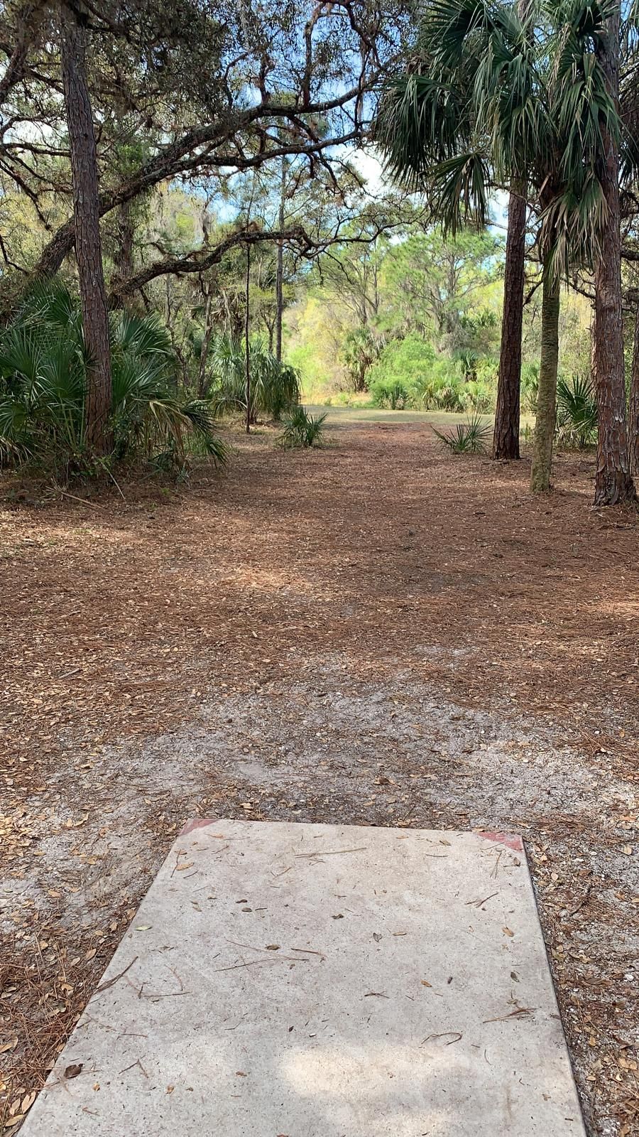 Hole #13