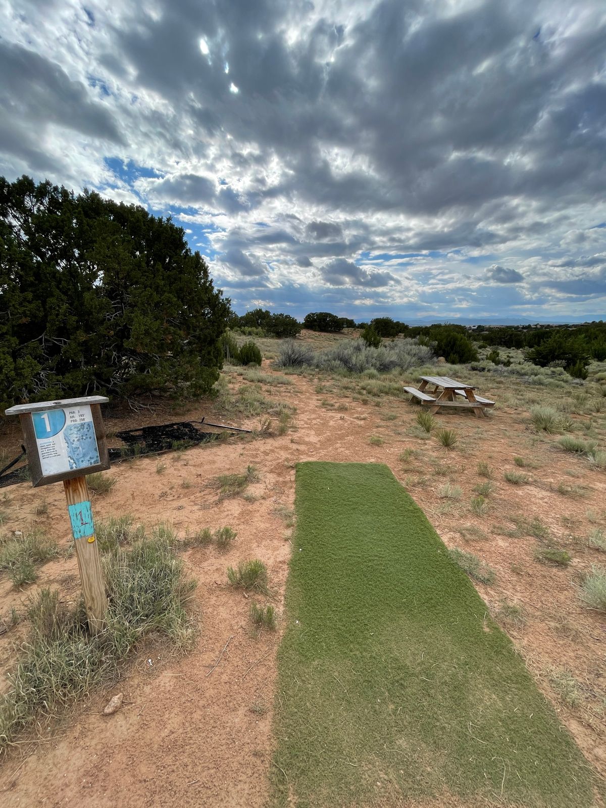 Hole 1 Pro tee pad
