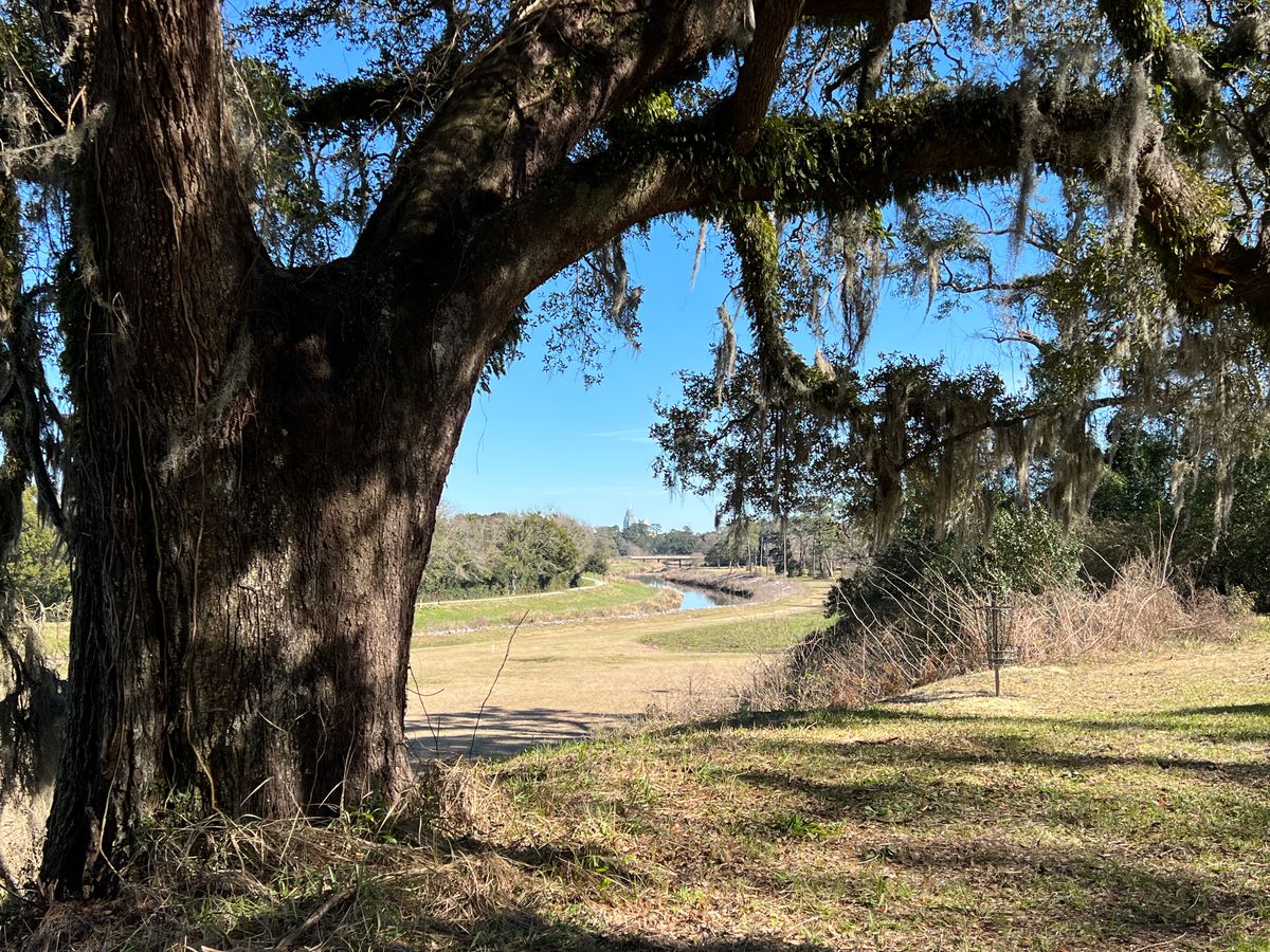 Downtown skyline from the top of Hole 15