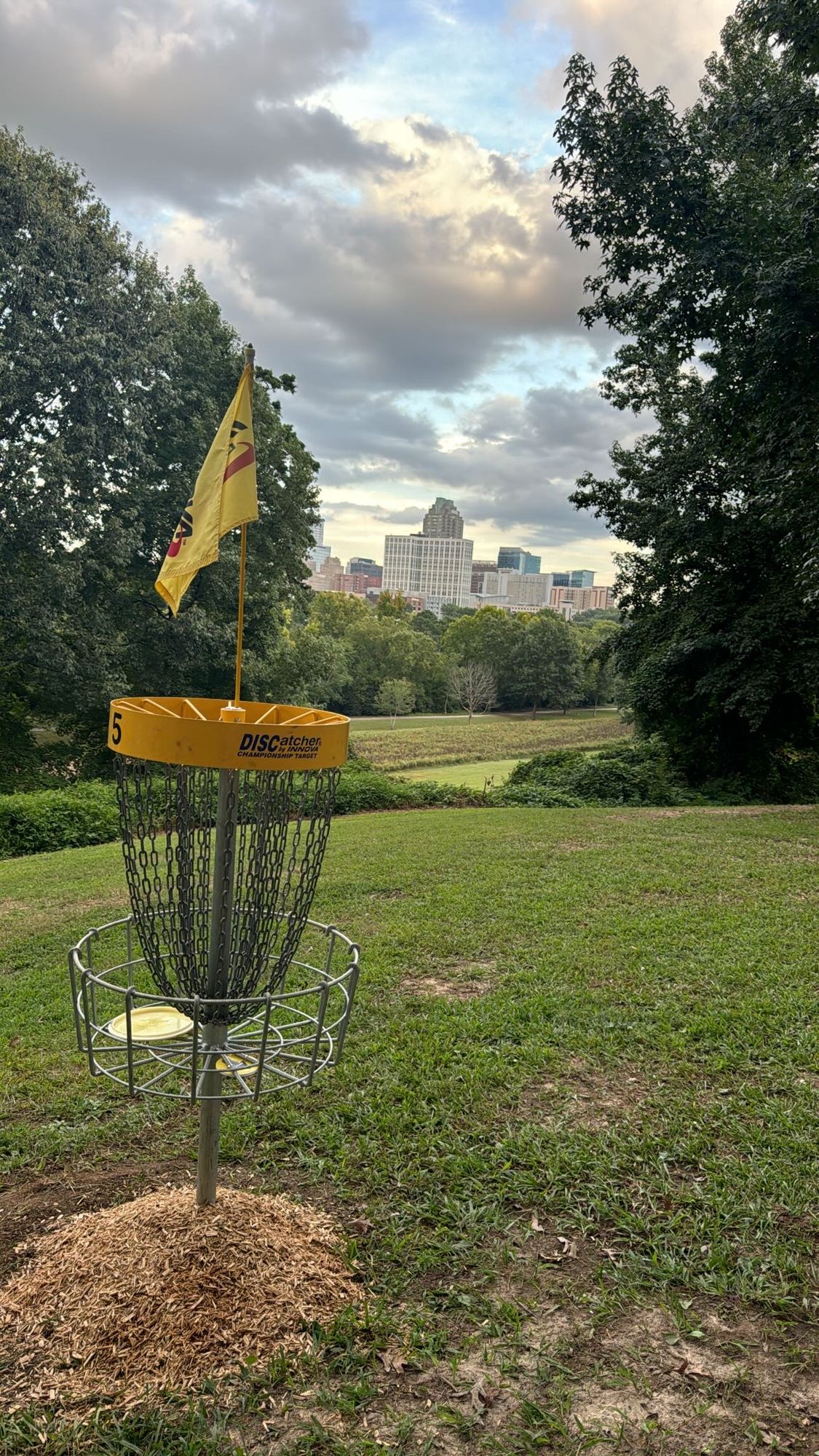 Can’t beat a little green w/ a nice scenic view of the concrete jungle ahead!