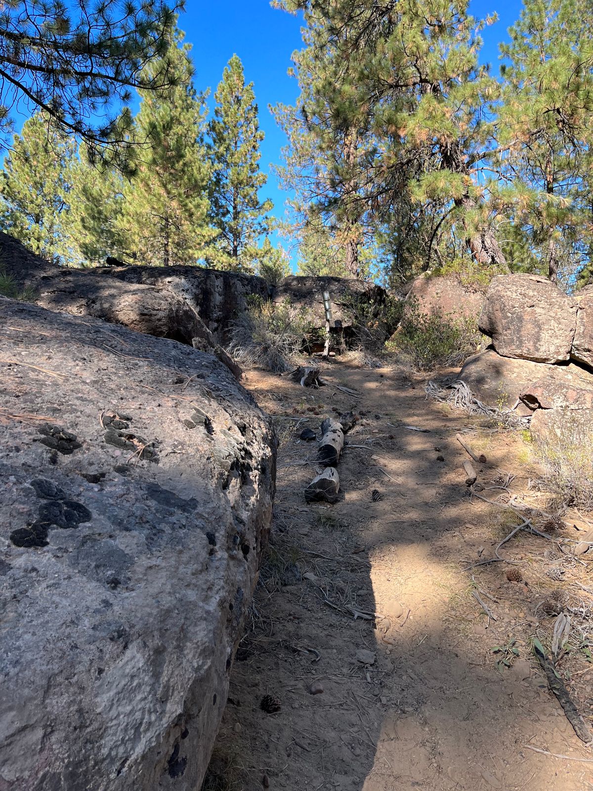 Over the canyon on Hole 2