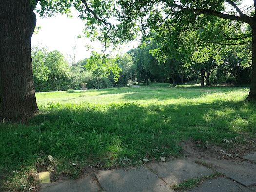 Tee 12