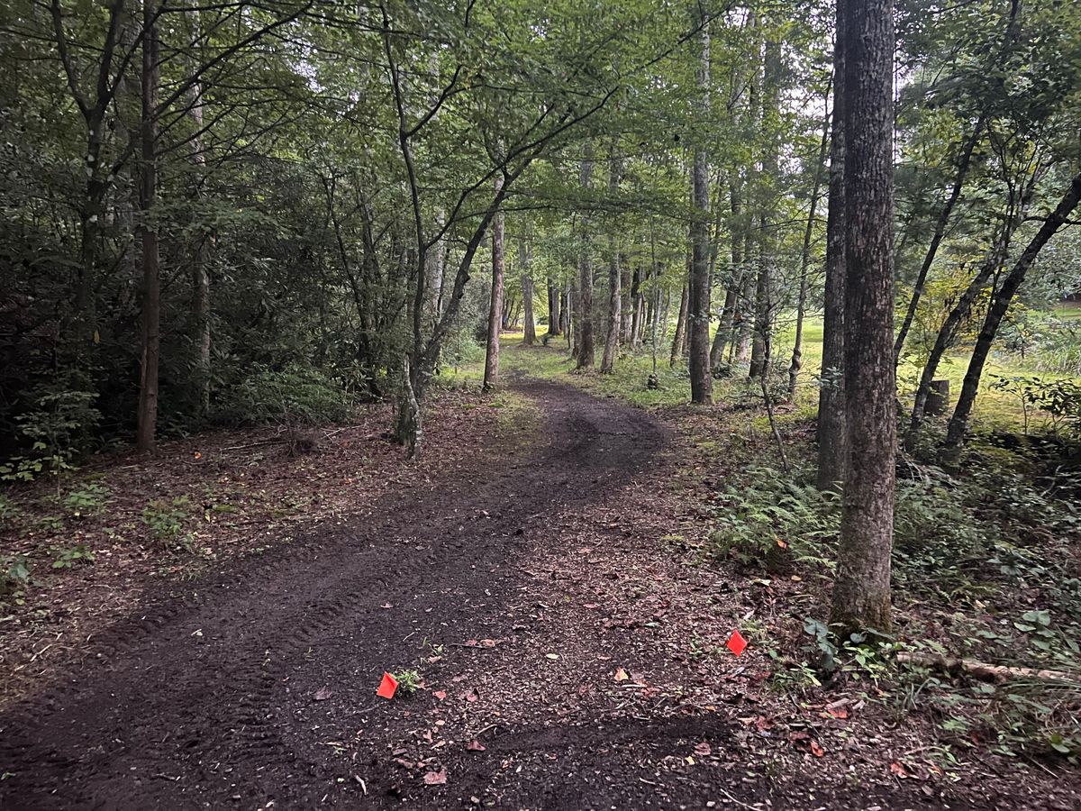 Hole 2 tee pad. Shoot the gap!