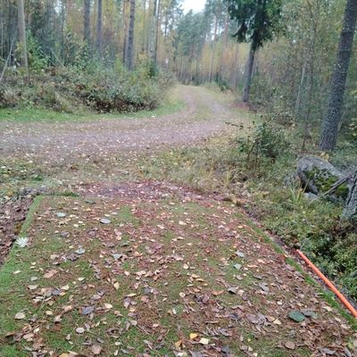 10 väylä