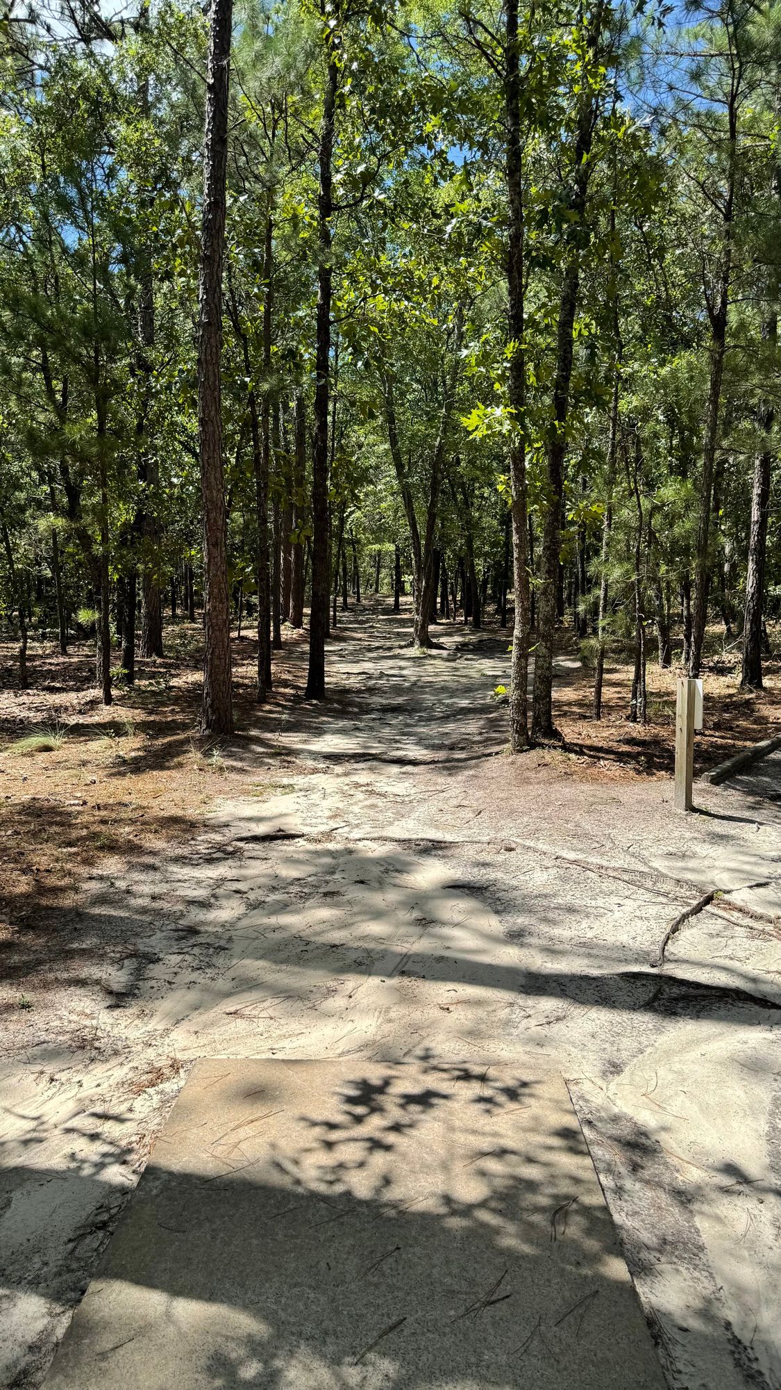 Hole 4 Tee Pad
