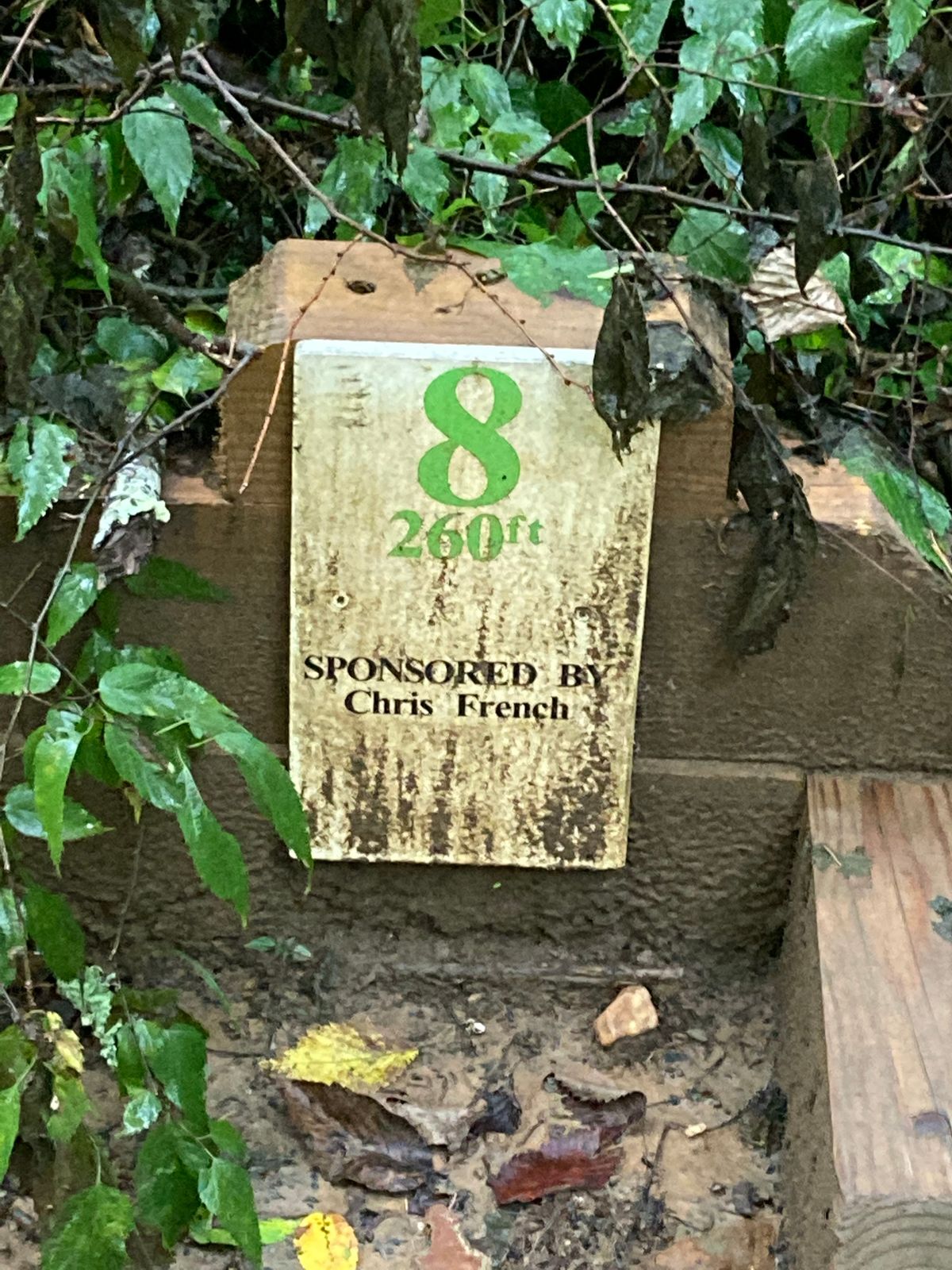 Hole 8