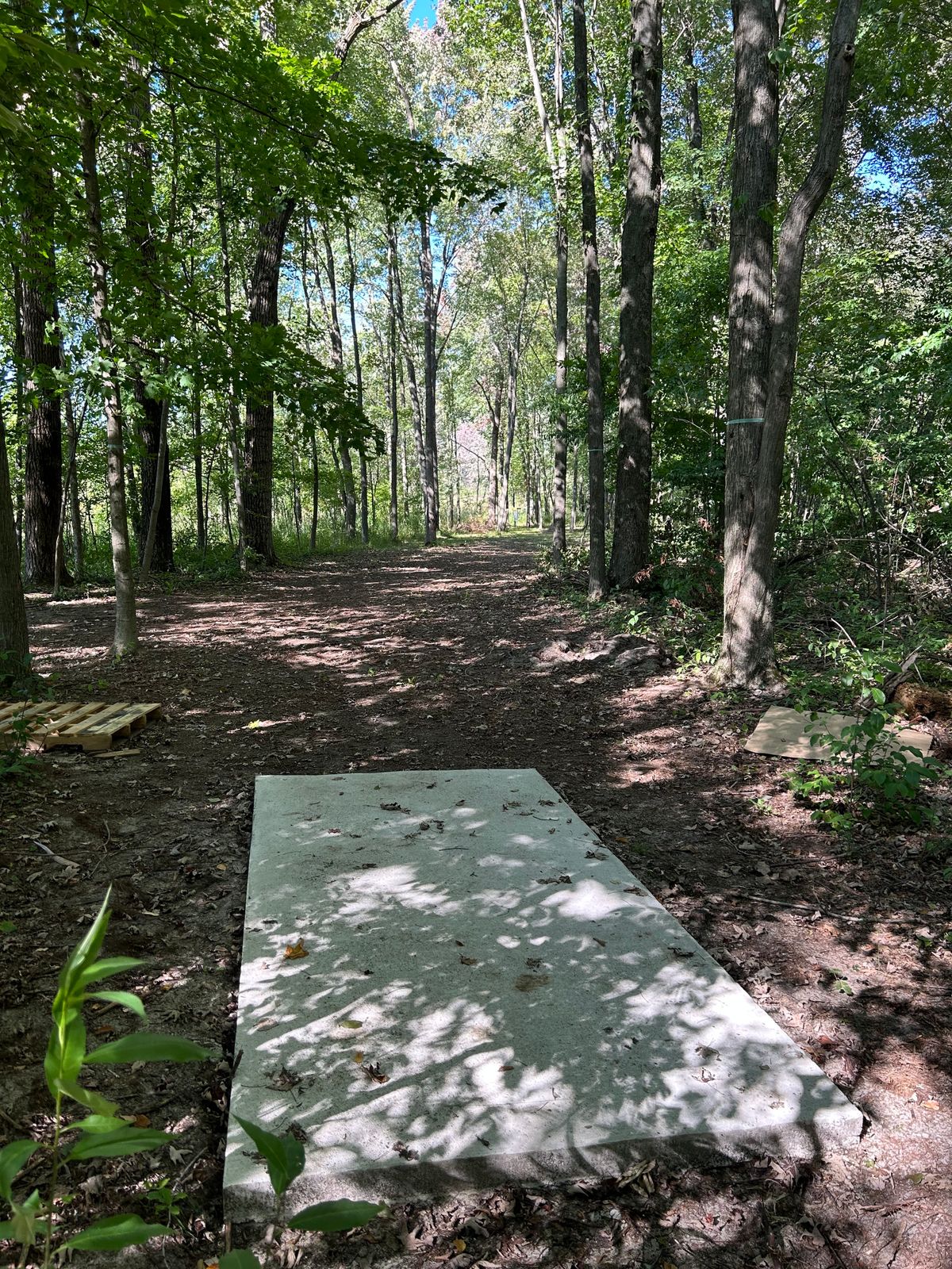 Hole 3