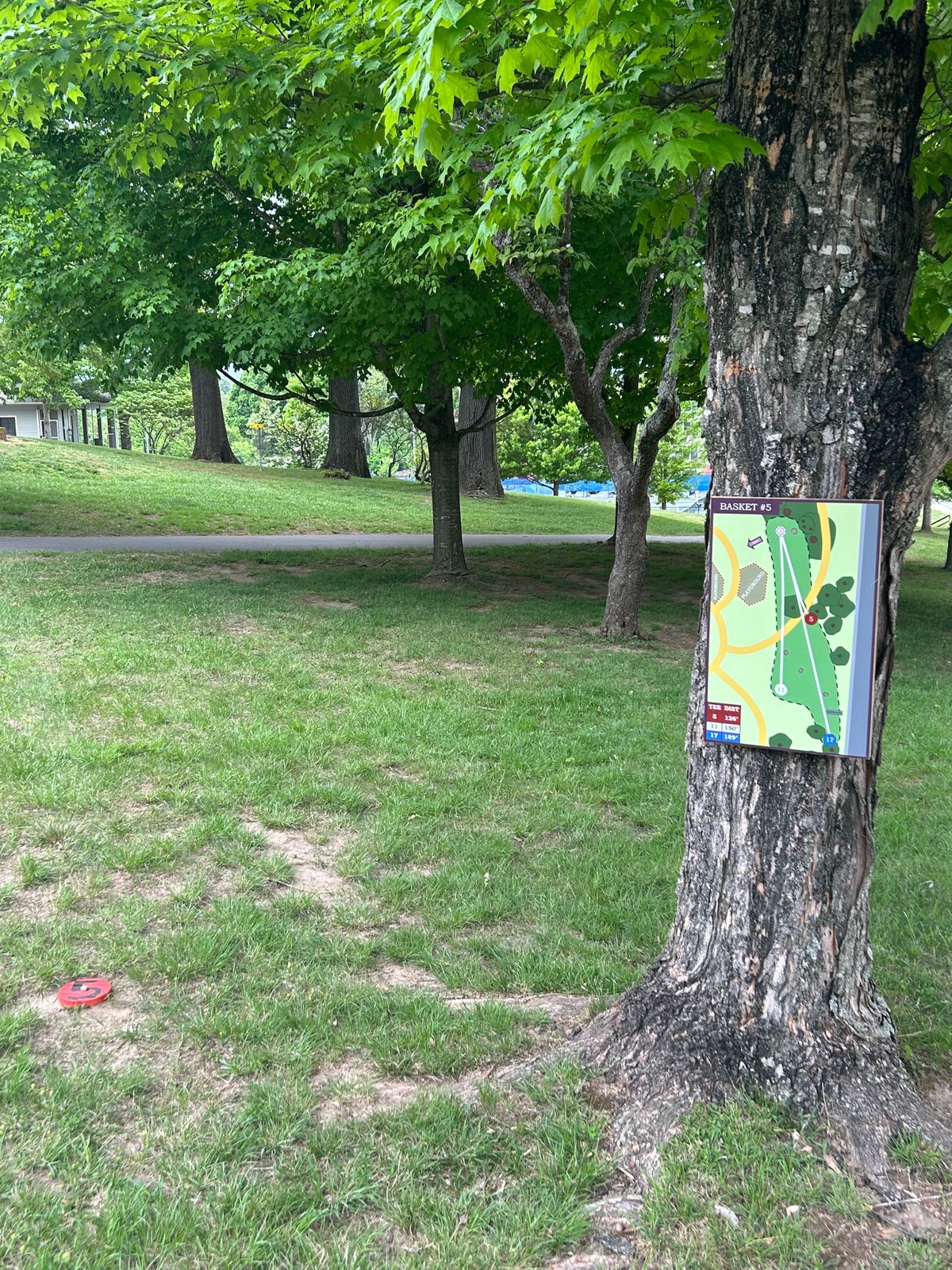 Hole 6 (red marker)