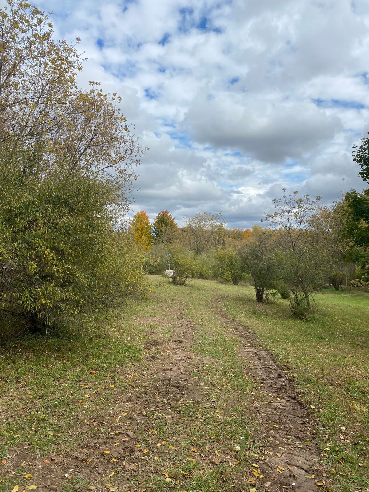 Hole 11 Approach