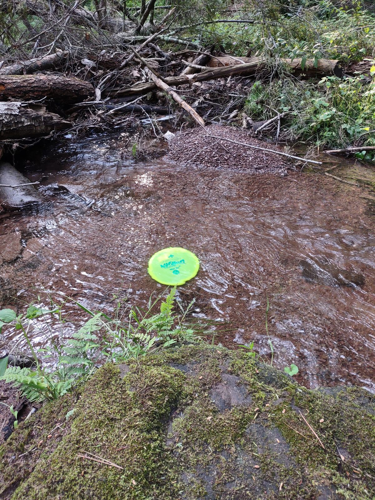 Well at least I could get this disc back...