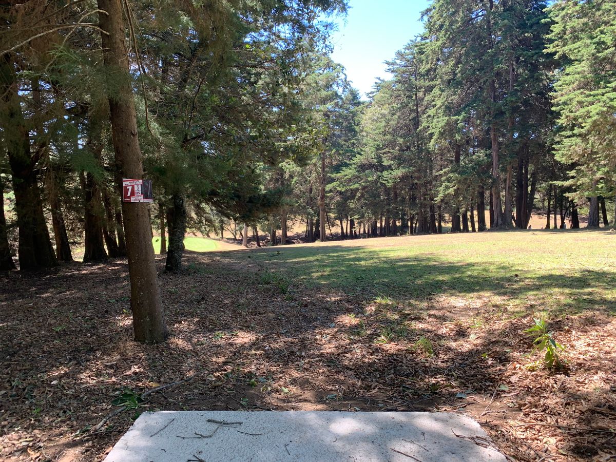 Hole #7 tee pad