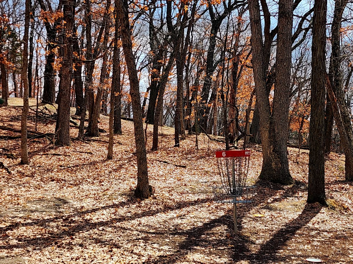 Hole 6 red basket