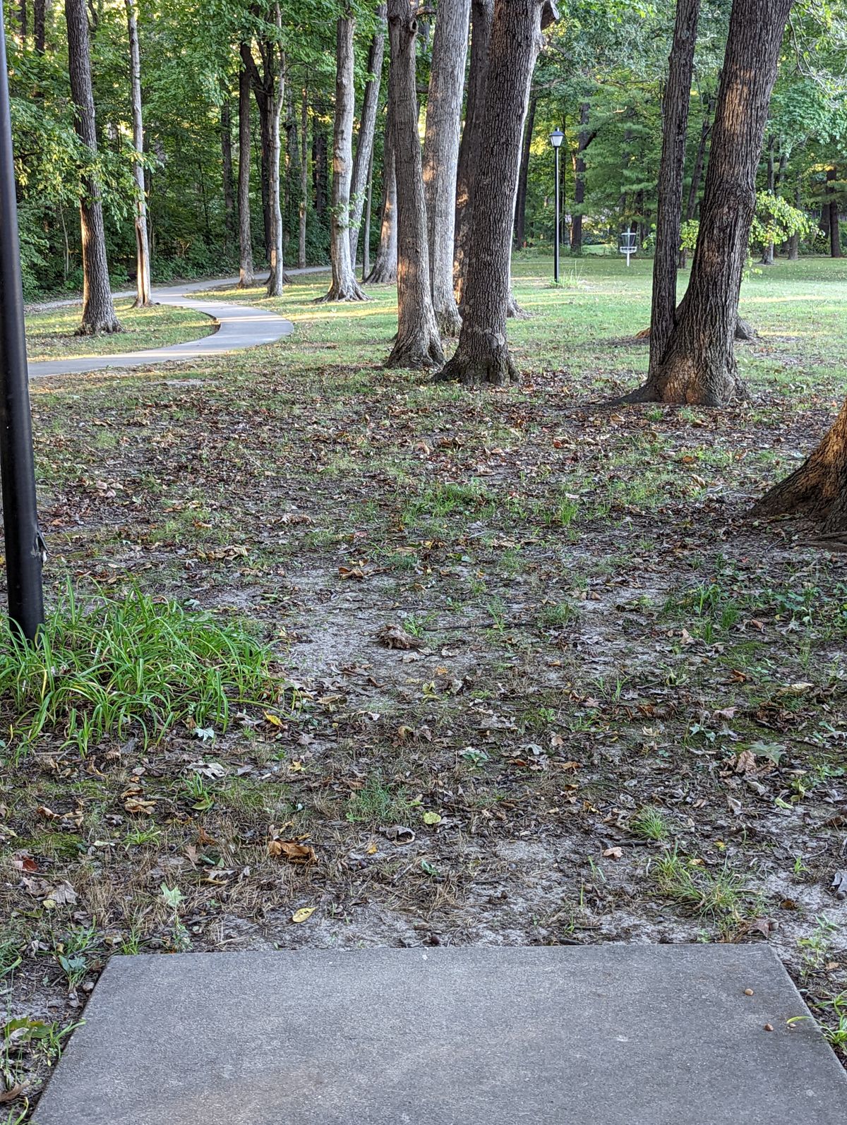 Hole 7 Teebox