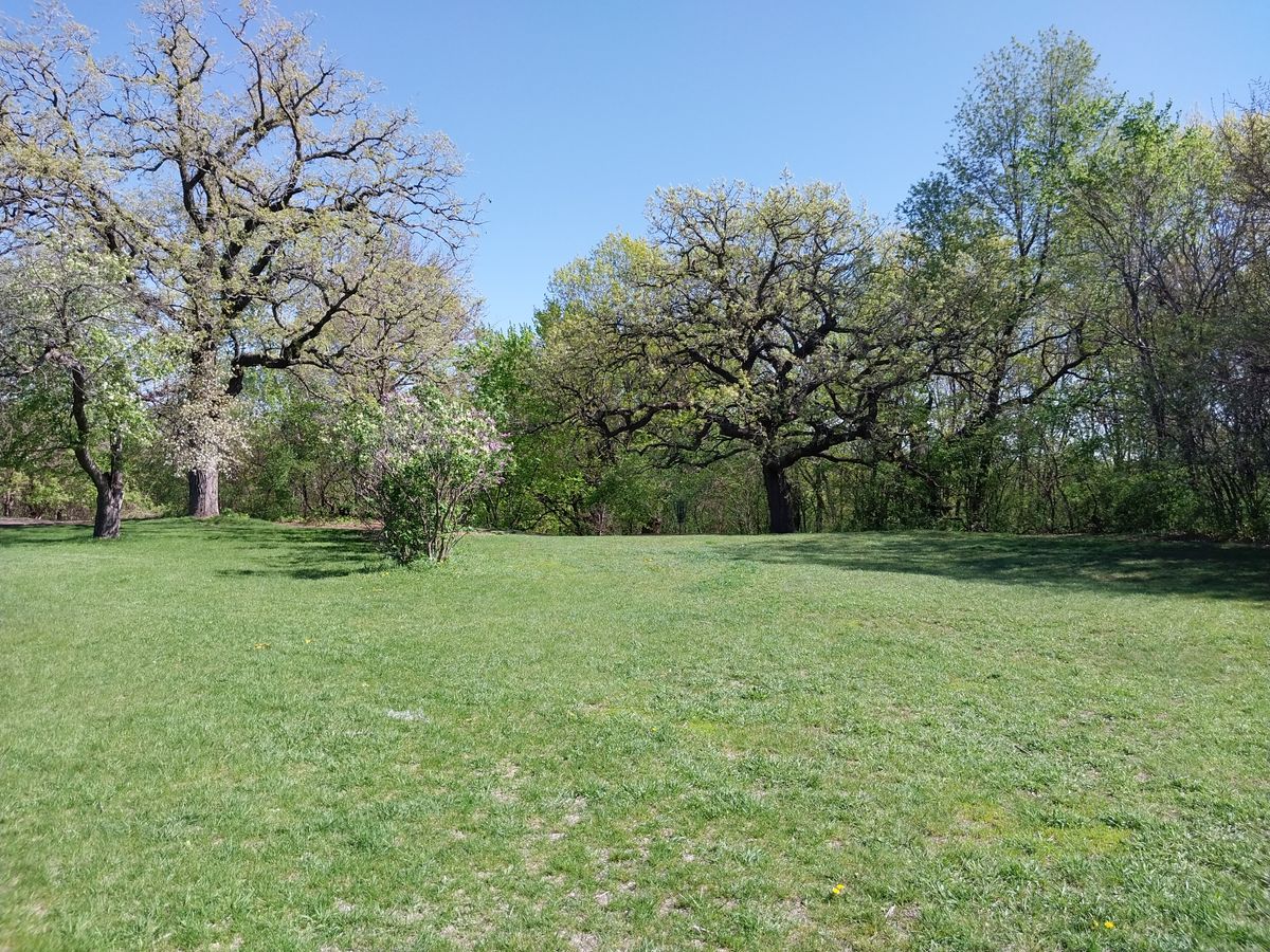 Fairway of 7.