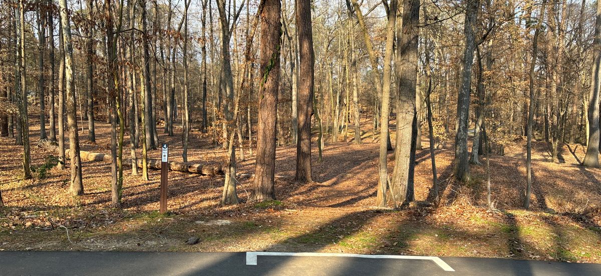 Hole 4