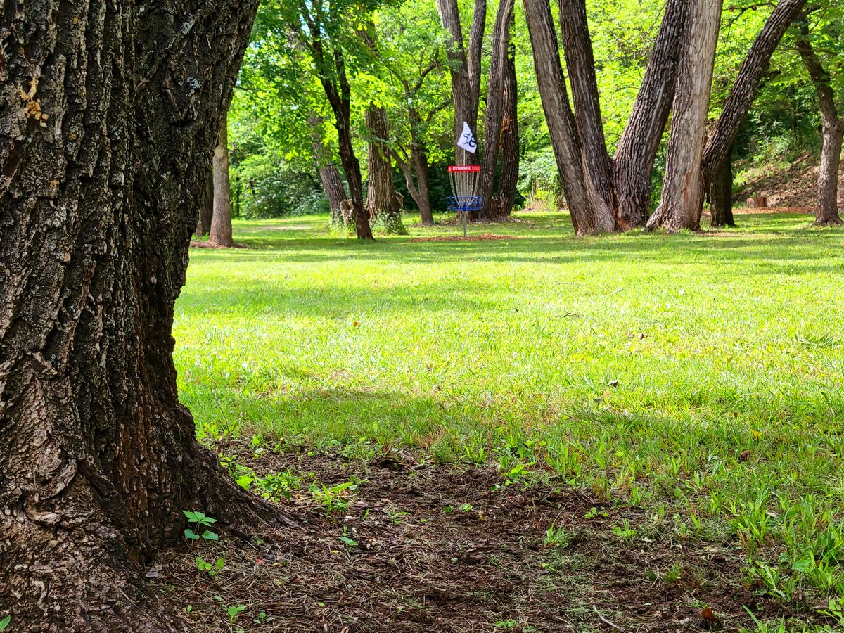 Hole 7: fairway