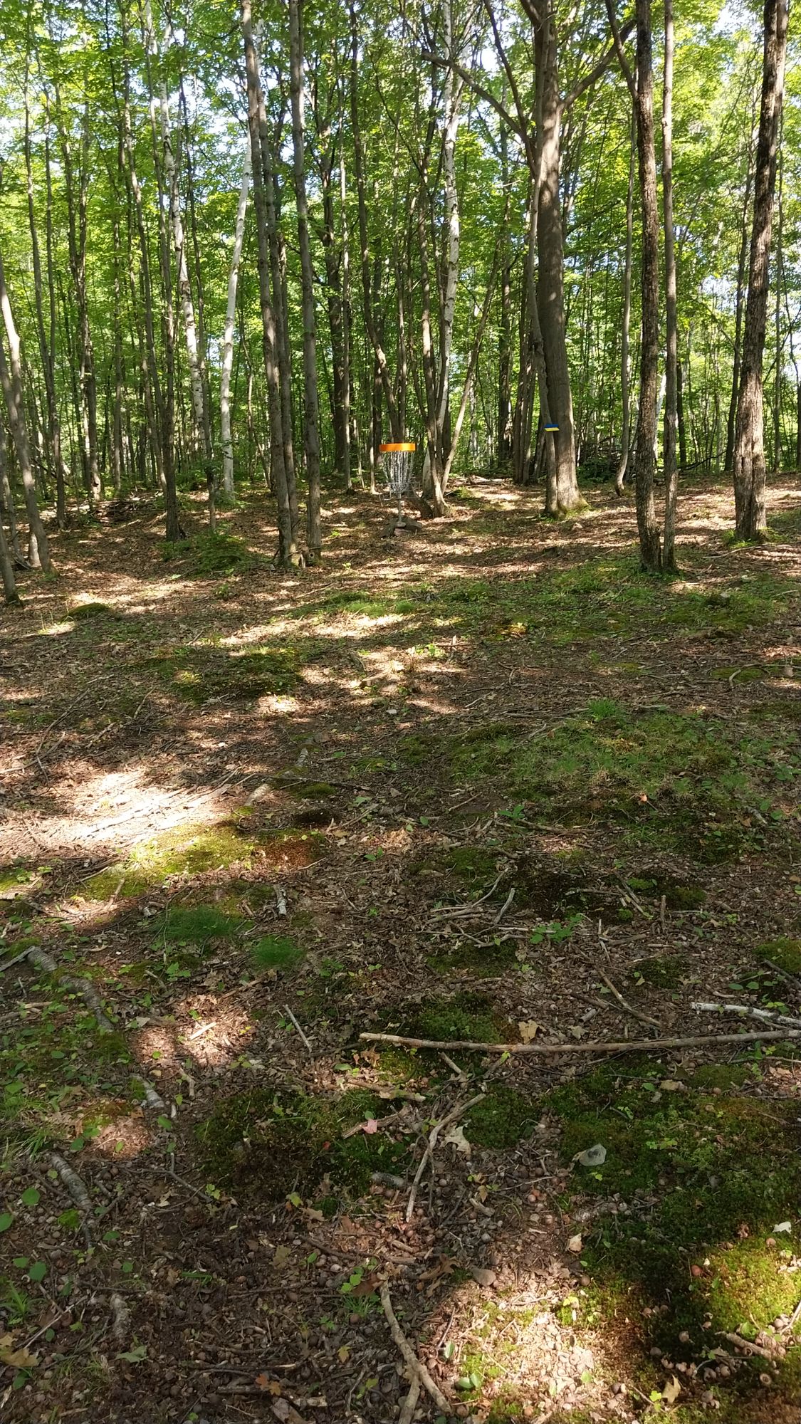 Hole 13 long