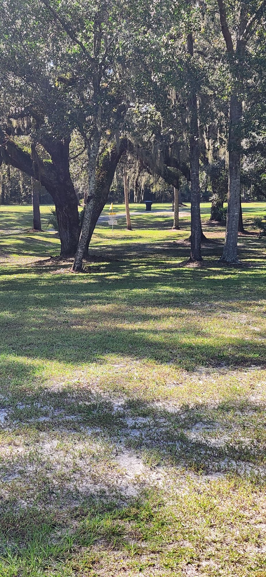 #3 tee pad looking toward the basket
