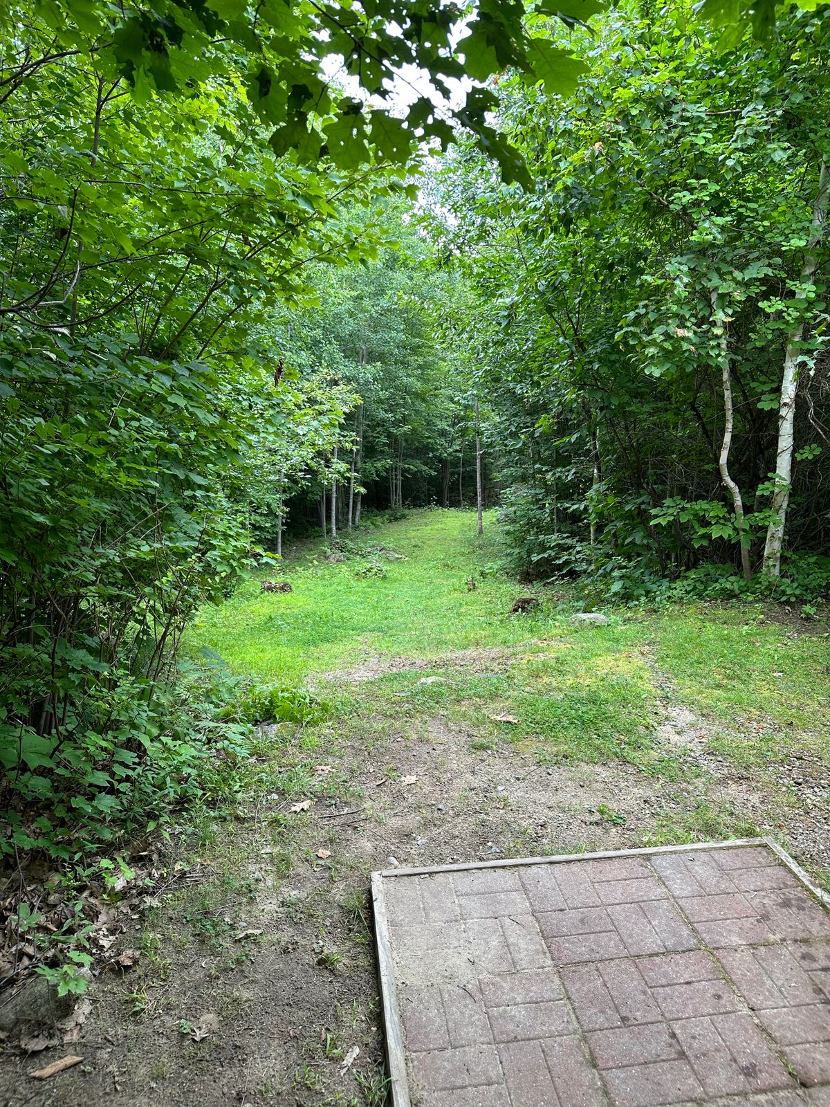 Hole 9