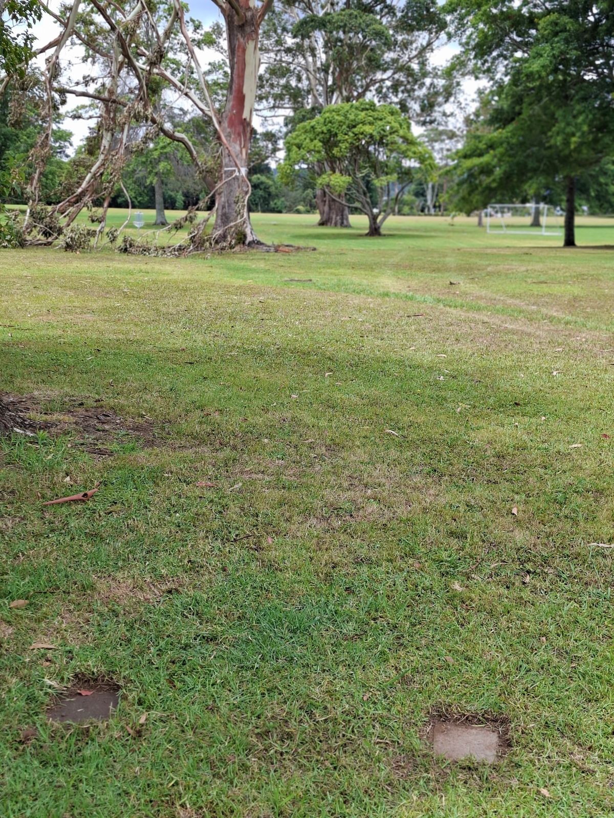 Hole 9 teepad looking toward mando gum tree. Disc must pass to the right of the tree.