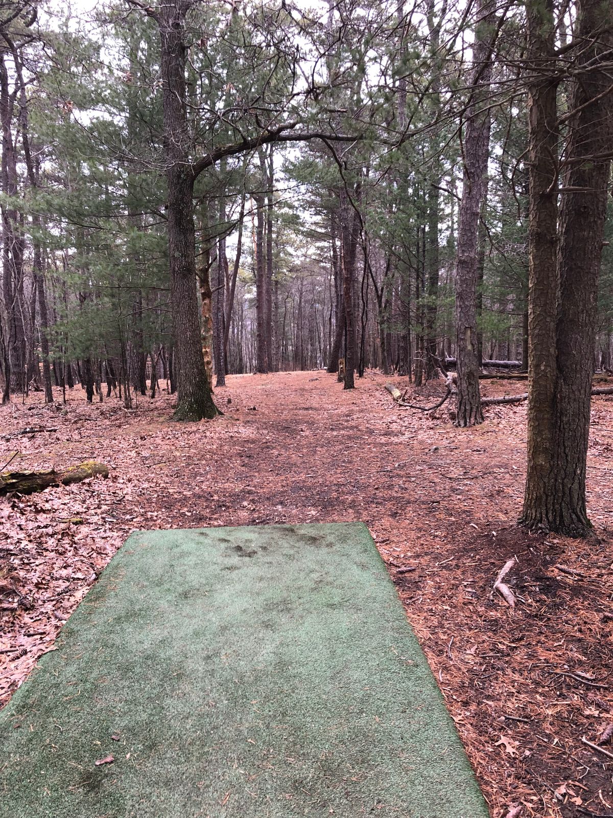 8 tee