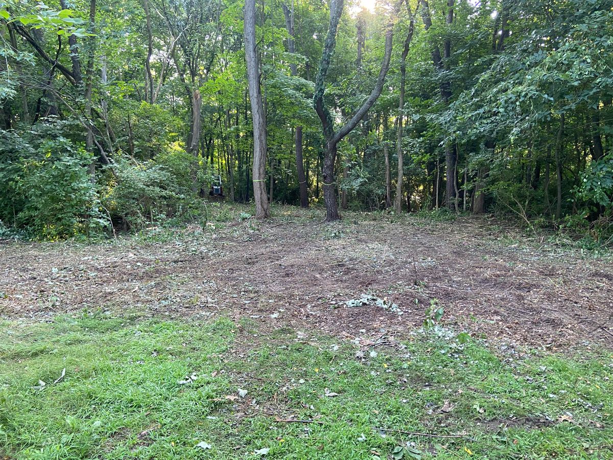 Hole 18 fairway in reverse
